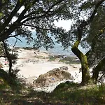 Le Pivoine Du Commando, 100m Et Proche Gare *